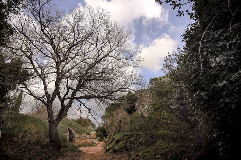 Oltre-la-vita_Cerveteri